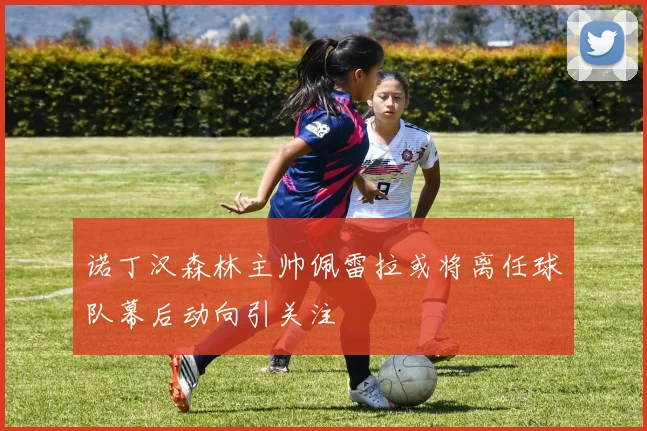 诺丁汉森林主帅佩雷拉或将离任球队幕后动向引关注